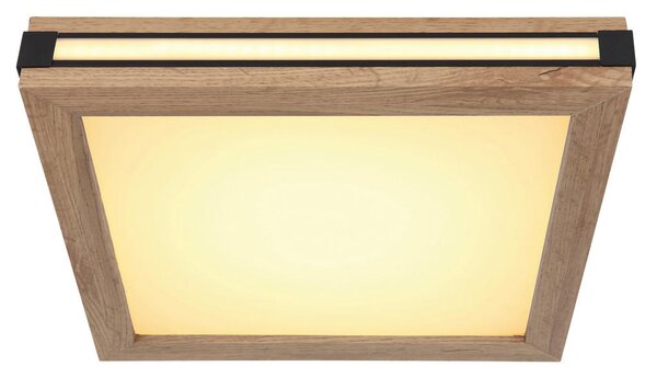 STROPNA LED-SVETILKA 3000 K 230 V