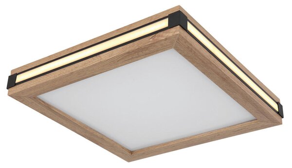 STROPNA LED-SVETILKA 3000 K 230 V