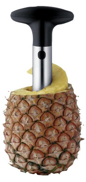 REZILO ZA ANANAS Gourmet 19 cm