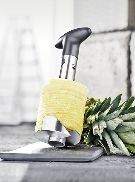 REZILO ZA ANANAS Gourmet 19 cm