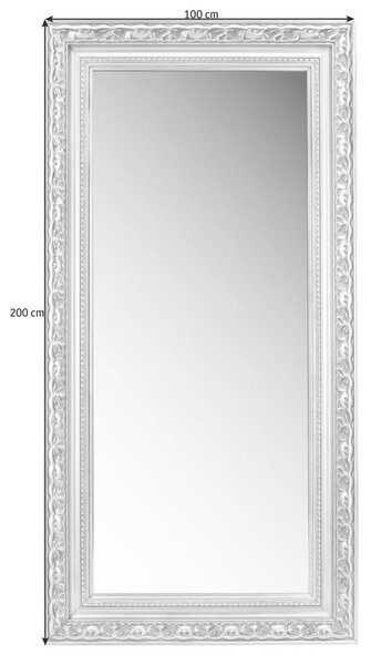 STENSKO OGLEDALO, 100/200/6,7 cm steklo