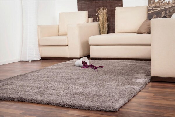 PREPROGA Z VISOKIM FLOROM Velvet 120/170 cm taftano platinaste barve