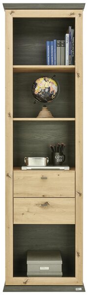 REGAL 60/209/43 cm barve hrasta, temno siva