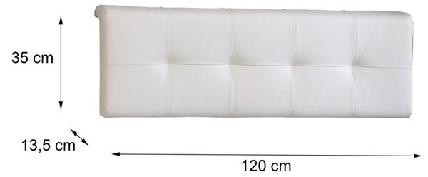 VZGLAVJE