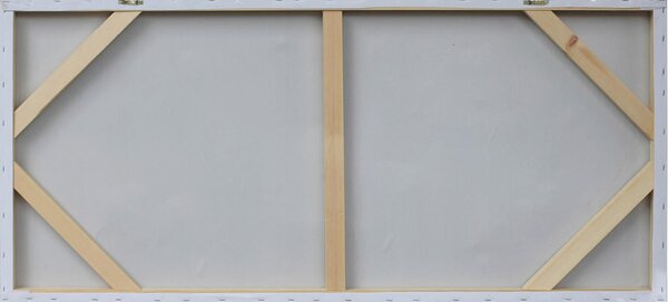 OLJNA SLIKA 120/55 cm