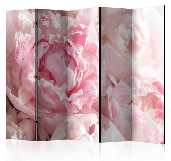 PARAVAN 225/172/3 cm bela, pink