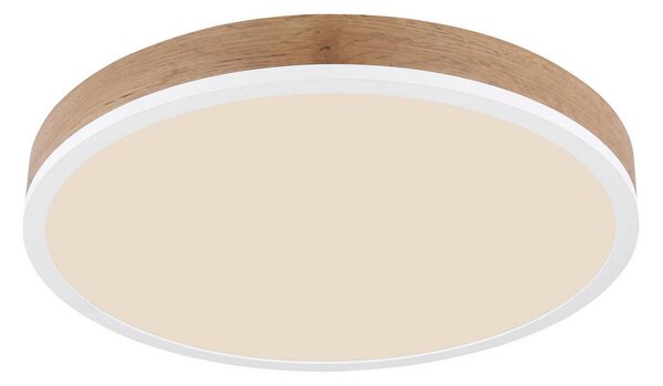 STROPNA LED-SVETILKA 3000 K 230 V