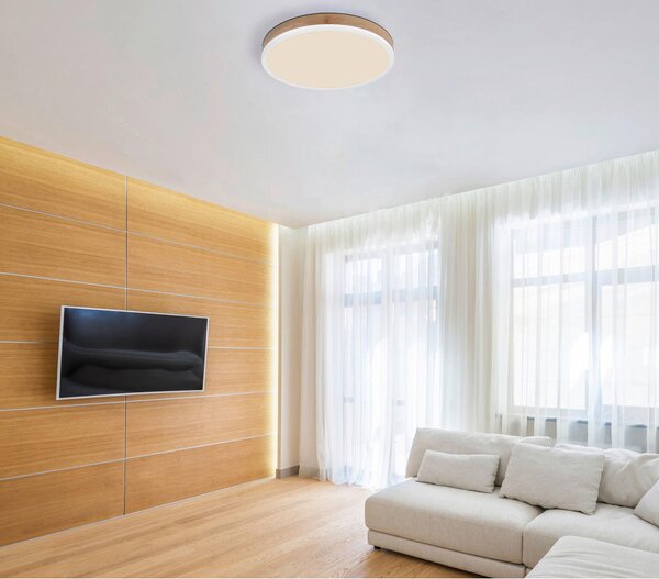STROPNA LED-SVETILKA 3000 K 230 V