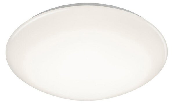 STROPNA LED-SVETILKA Lukida 3000-6000 K 230 V