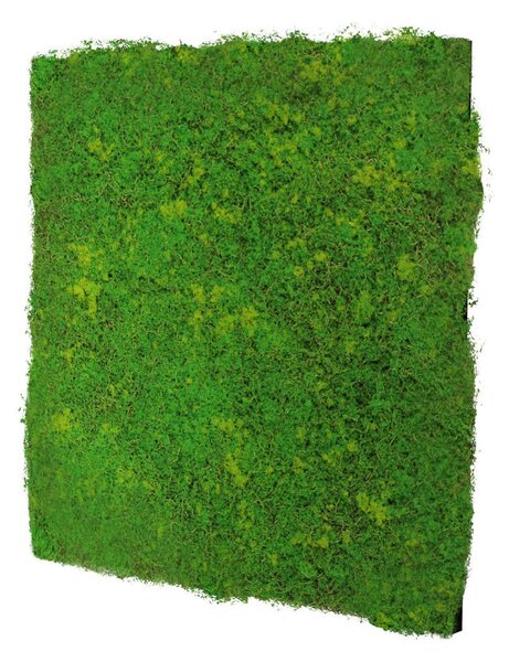AKUSTIČNI PANEL Modular Wall System Design Moos 52/52/3,2 cm