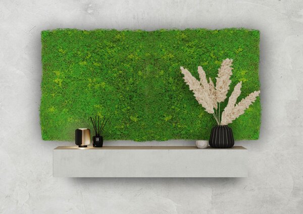 AKUSTIČNI PANEL Modular Wall System Design Moos 52/52/3,2 cm