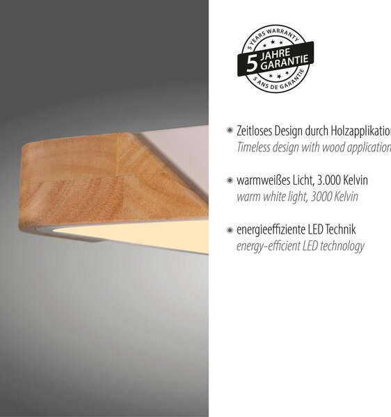 STROPNA LED-SVETILKA 24 W 3000 K 230 V