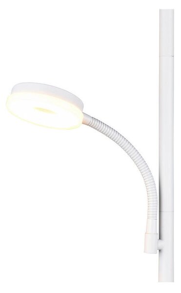STOJEČA LED-SVETILKA Specter 2700+4000+6500 K