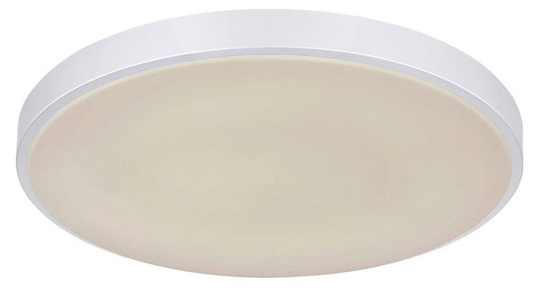 STROPNA LED-SVETILKA 2700-6500 K 230 V