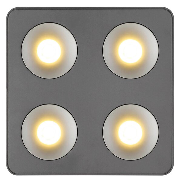 LED-REFLEKTOR Hangarau 1080 lm 3000 K