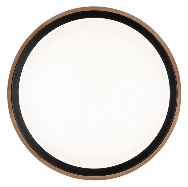 STROPNA LED-SVETILKA 3000-6000 K 230 V