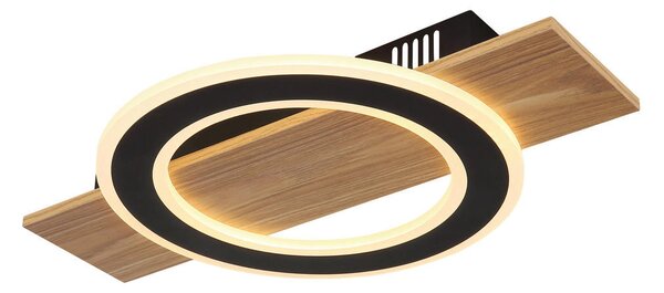 STROPNA LED-SVETILKA JAYDEN 1000 lm 3000 K 230 V