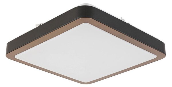 STROPNA LED-SVETILKA 24 W 2200 lm 3000 K 220-240 V