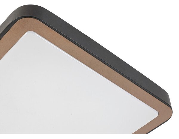 STROPNA LED-SVETILKA 24 W 2200 lm 3000 K 220-240 V