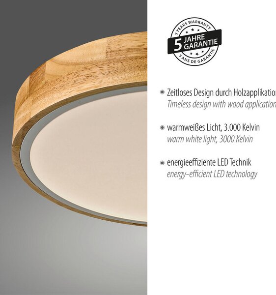 STROPNA LED-SVETILKA 24 W 3000 K 230 V