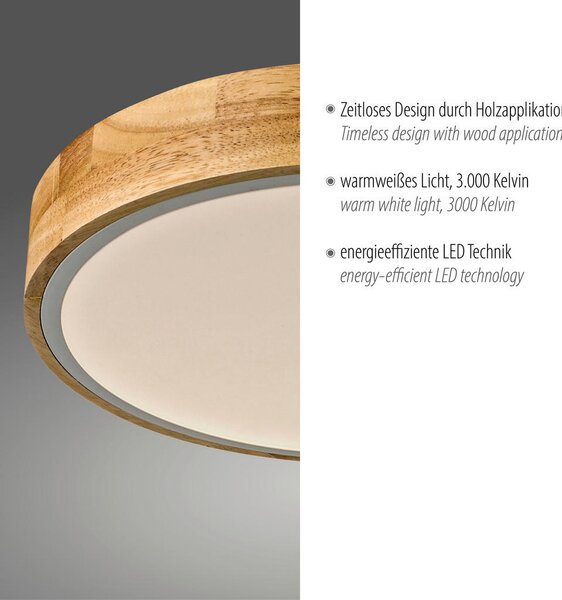 STROPNA LED-SVETILKA 24 W 3000 K 230 V
