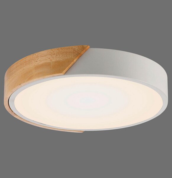 STROPNA LED-SVETILKA 24 W 3000 K 230 V