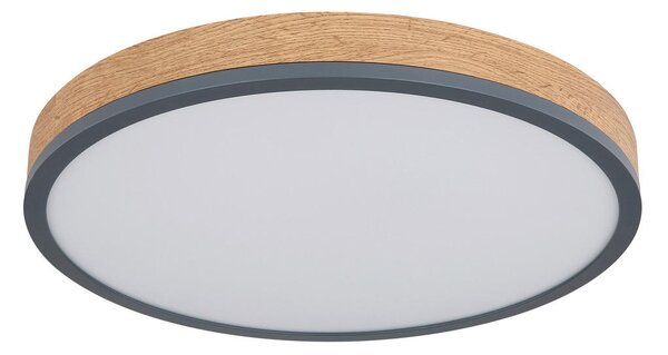 STROPNA LED-SVETILKA 2700-6500 K 230 V