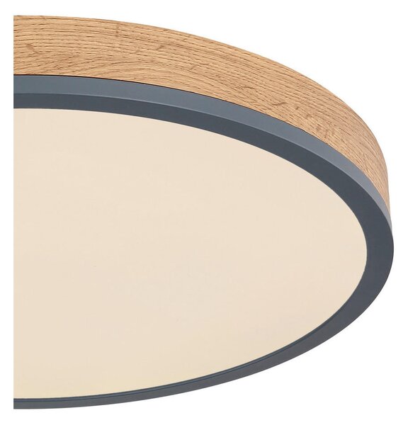 STROPNA LED-SVETILKA 2700-6500 K 230 V