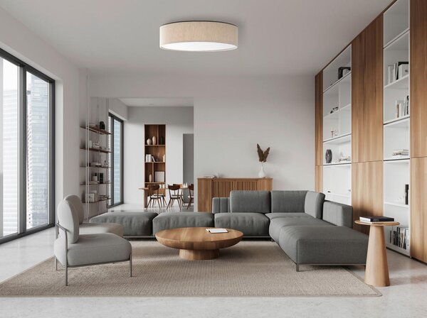 STROPNA LED-SVETILKA CONNY 3000 K 230 V