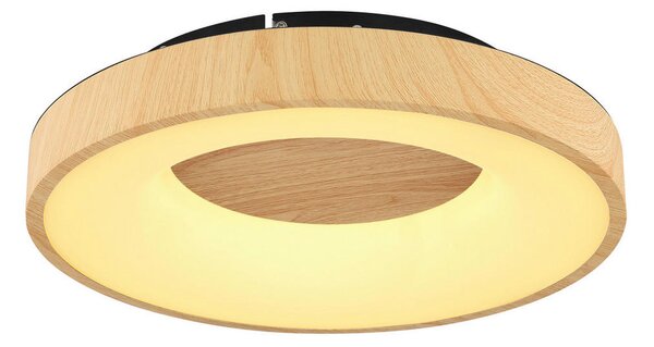 STROPNA LED-SVETILKA 2700-6000 K 230 V