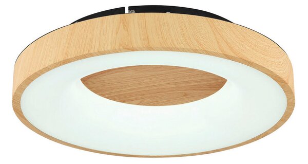 STROPNA LED-SVETILKA 2700-6000 K 230 V
