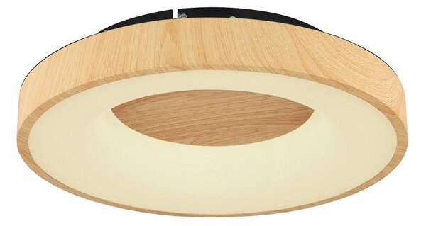 STROPNA LED-SVETILKA 2700-6000 K 230 V