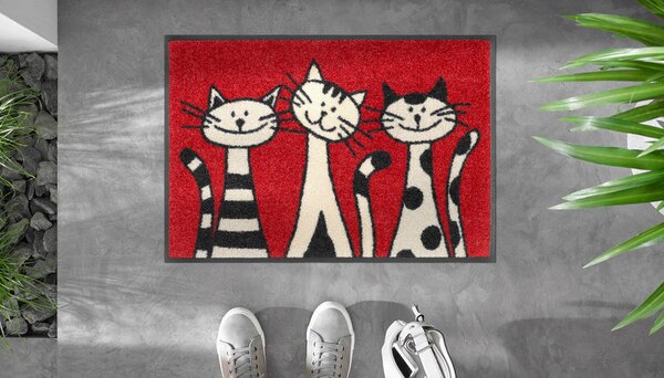 PREDPRAŽNIK Three Cats 40/60 cm potiskano rdeča