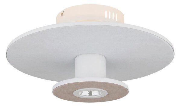 STROPNA LED-SVETILKA 3000 K 230 V