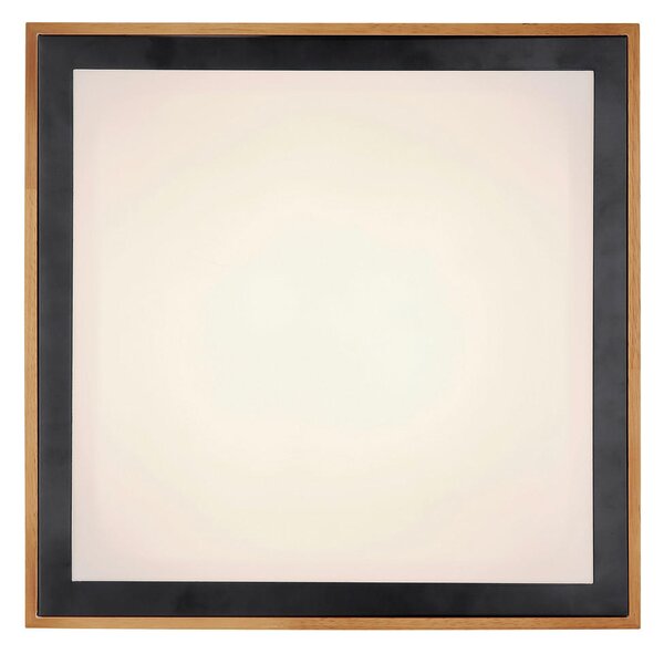 STROPNA LED-SVETILKA 3000/4500/6000 K 230 V