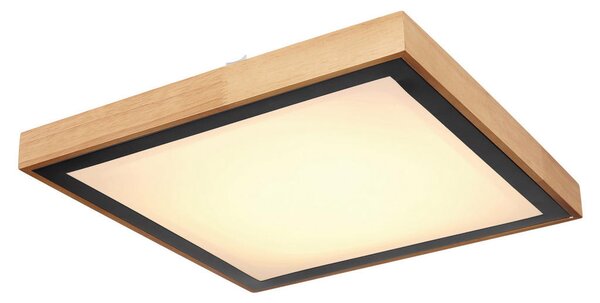 STROPNA LED-SVETILKA 3000/4500/6000 K 230 V