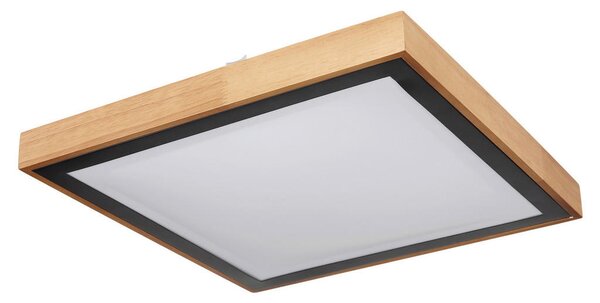 STROPNA LED-SVETILKA 3000/4500/6000 K 230 V