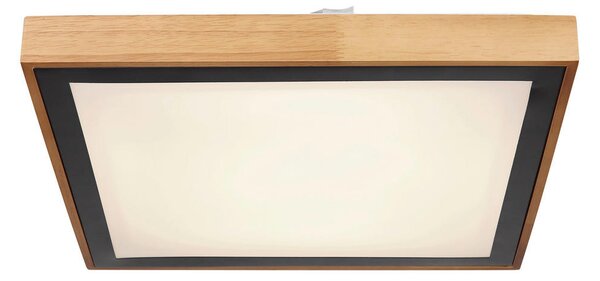 STROPNA LED-SVETILKA 3000/4500/6000 K 230 V