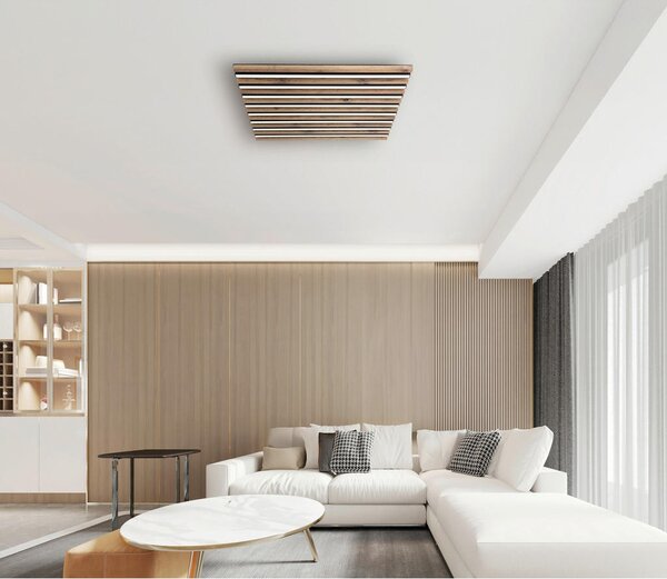 STROPNA LED-SVETILKA HAYDEN 2700-6500 K 230 V