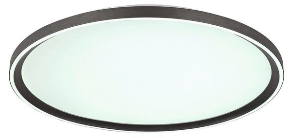 STROPNA LED-SVETILKA 2700-6000 K 230 V