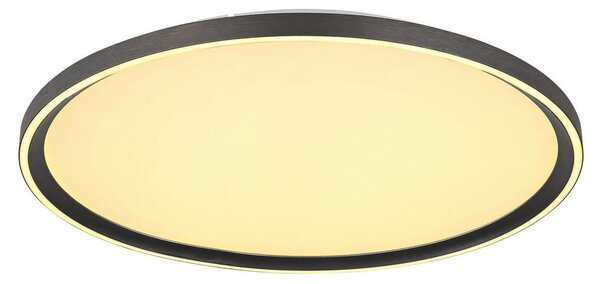 STROPNA LED-SVETILKA 2700-6000 K 230 V
