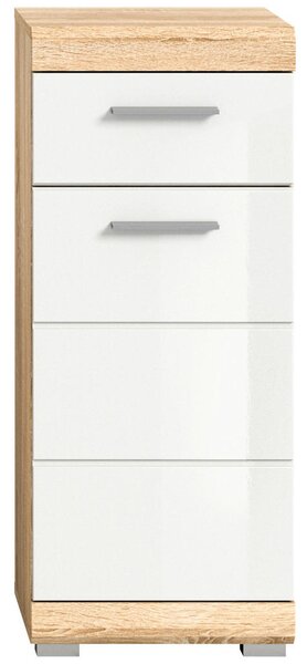SPODNJA OMARICA 37/88/31 cm