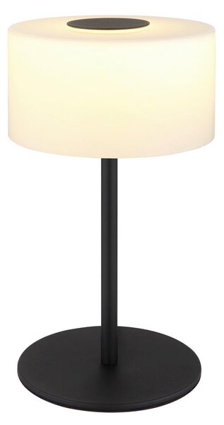 NAMIZNA LED-SVETILKA TRENTON 20/34,5 cm