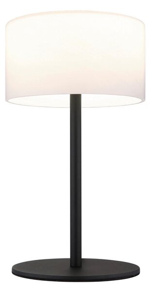 NAMIZNA LED-SVETILKA TRENTON 20/34,5 cm