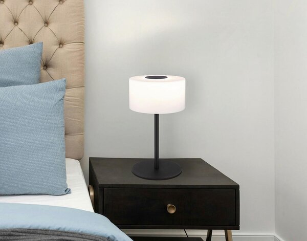 NAMIZNA LED-SVETILKA TRENTON 20/34,5 cm