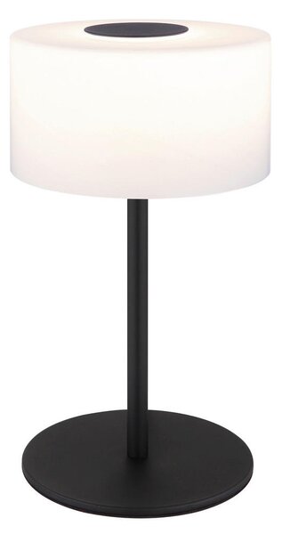 NAMIZNA LED-SVETILKA TRENTON 20/34,5 cm