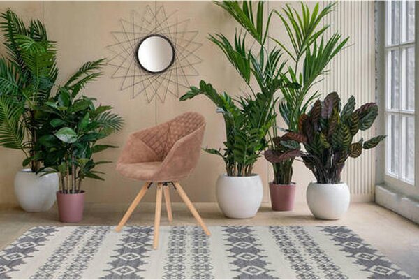 SET STOLOV, les, tekstil rjava