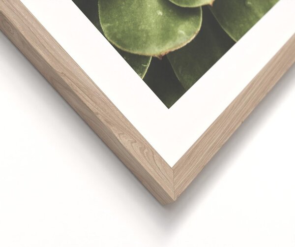 Tiskane slike v kompletu 2 ks z okvirjem 30x40 cm Beauty Green – Styler