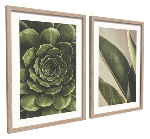 Tiskane slike v kompletu 2 ks z okvirjem 30x40 cm Beauty Green – Styler