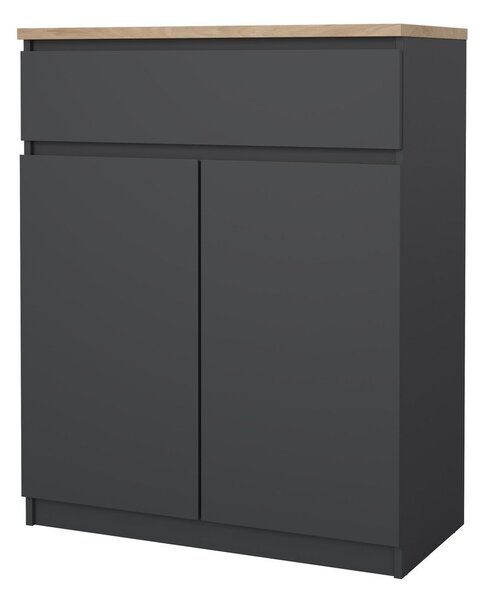 Temno siva komoda 80x100x40 cm Naia – Tvilum